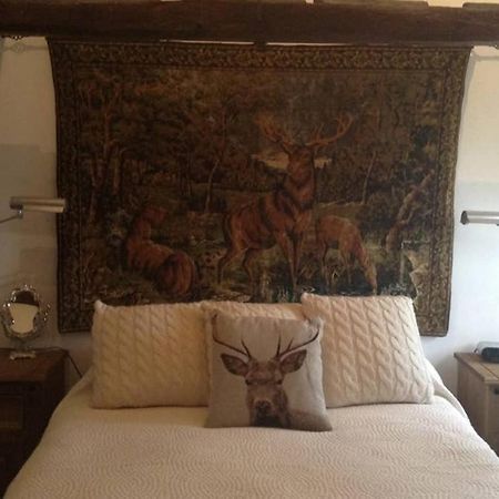 Vila Plumpton Barn Ashford  Exteriér fotografie